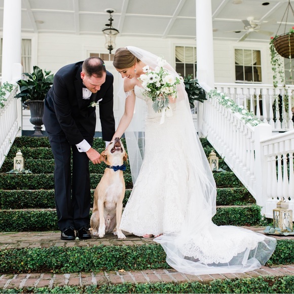 Meet the Posher, Carolyn! - Picture 7 of 11